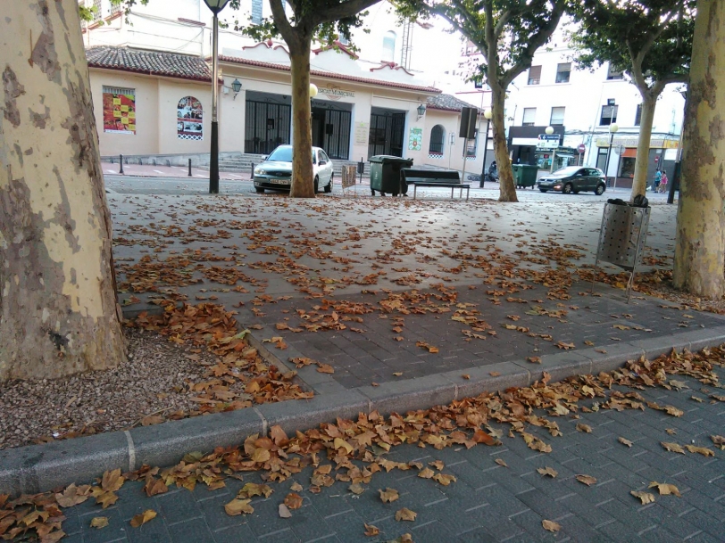Salvador Llopis denuncia que la fumigación en Oliva se haya hecho en verano