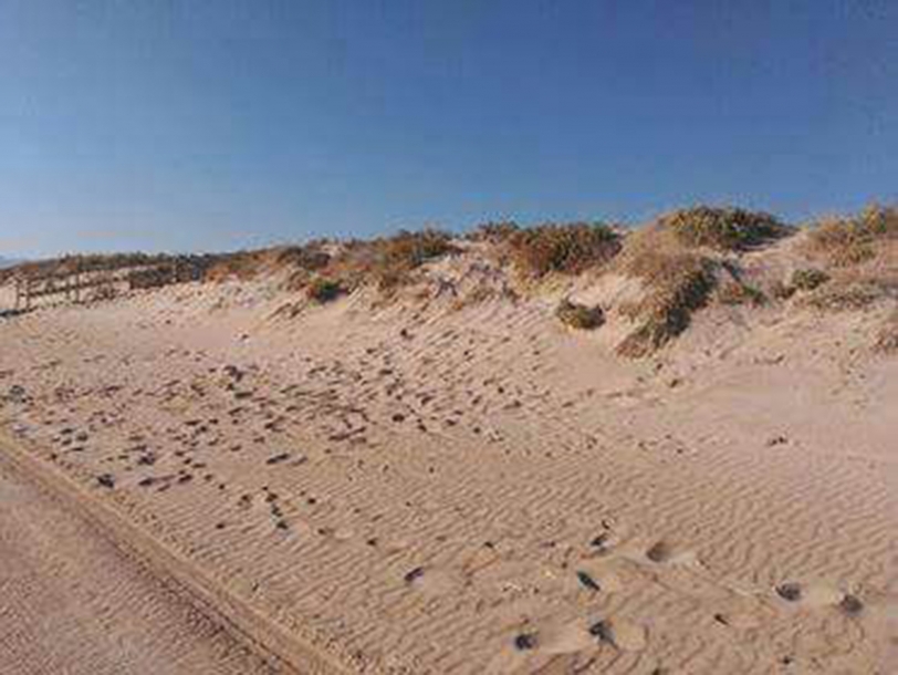 Queja vecinal sobre la protección de dunas en la playa de Piles