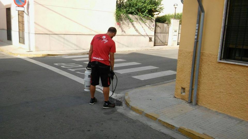 Nueva campaña contra el mosquito tigre en Benirredrà