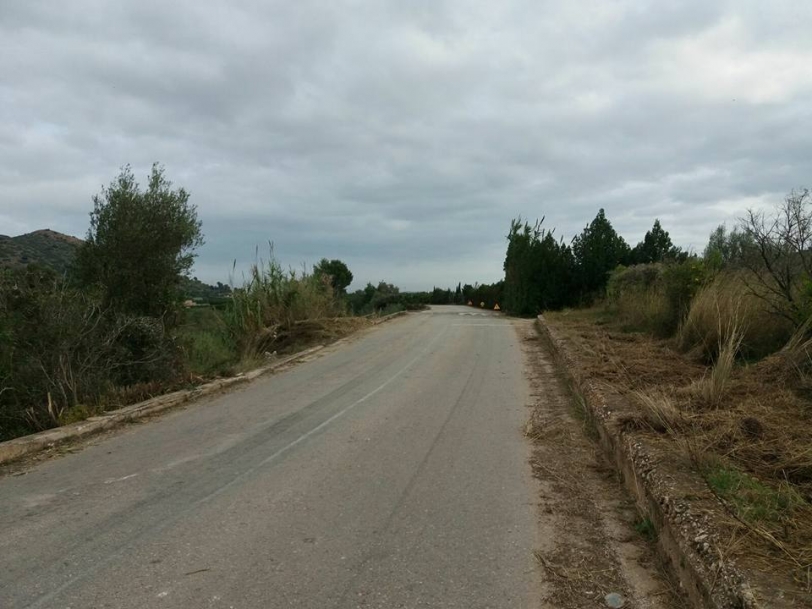 Oliva mejora sus caminos rurales durante estas dos semanas