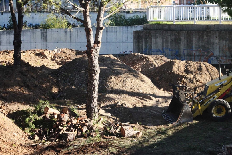 Las obras de Alcodar en Gandia reducen un 20% la masa forestal