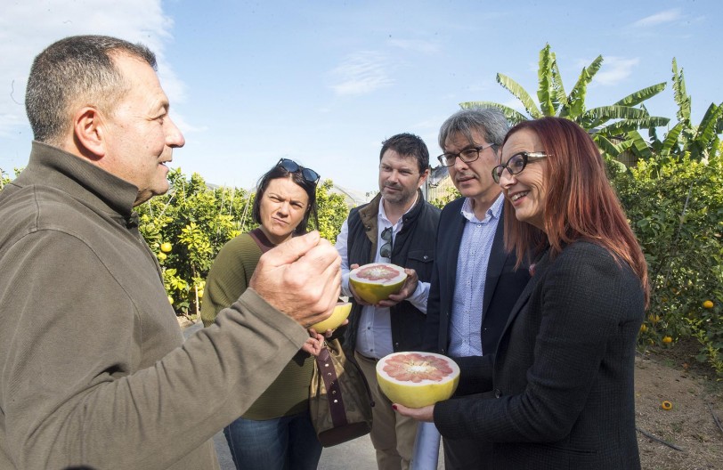 El Hort Botànic creado en Palmera por Vicent Todolí cautiva a la Diputación