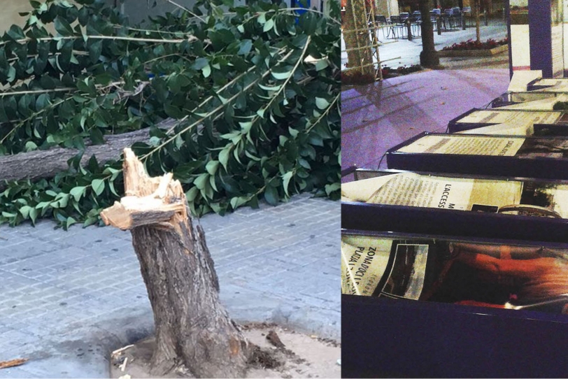 Te has perdido las últimas noticias sobre el viento en la Safor. Escúchalas