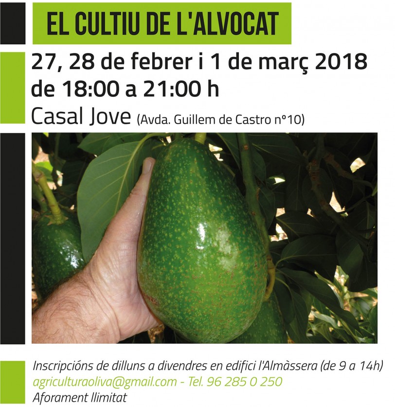 Oliva programa un curso sobre el cultivo del aguacate
