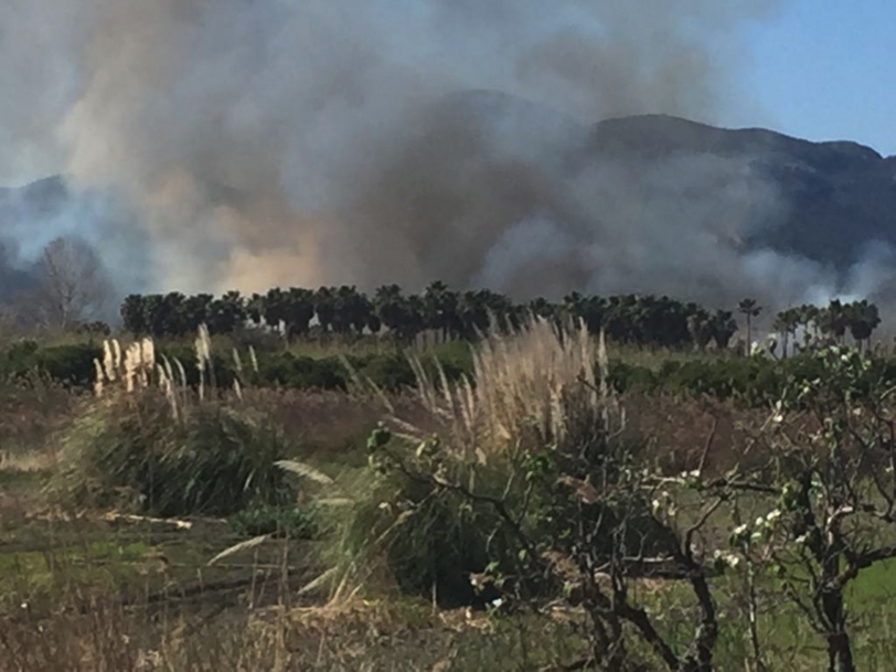 Una quema descontrolada provoca un incendio entre Grau y playa de Gandia
