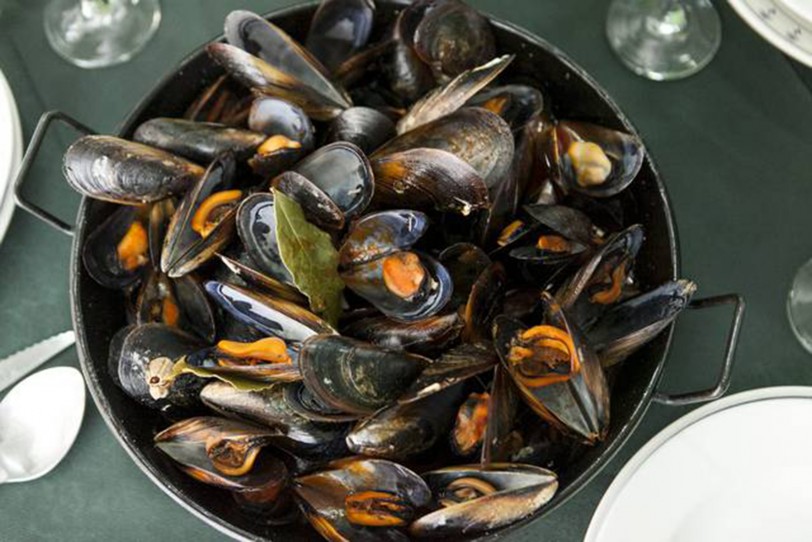 Sanidad confirma en Gandia 12 casos de intoxicación por consumir mejillones