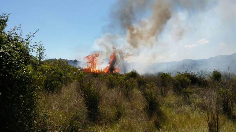 Un incendio moviliza a APEIF y Bomberos en Marxuquera de Palma de Gandia