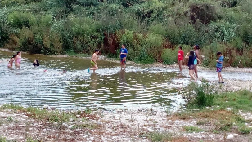 Potries creará una zona de avistamiento de aves en el cauce del río Serpis