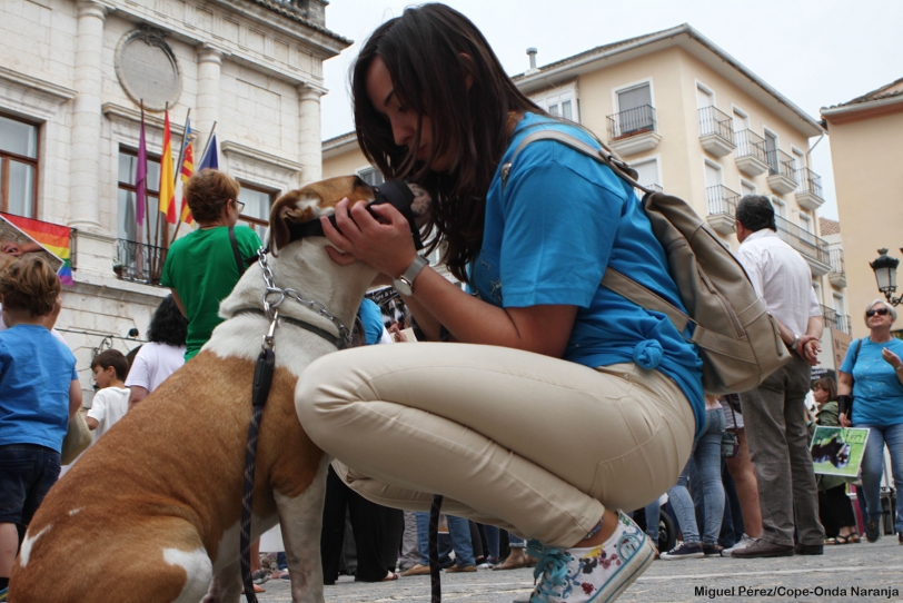 La Protectora de Animales vuelve a manifestarse en Gandia contra la Perrera