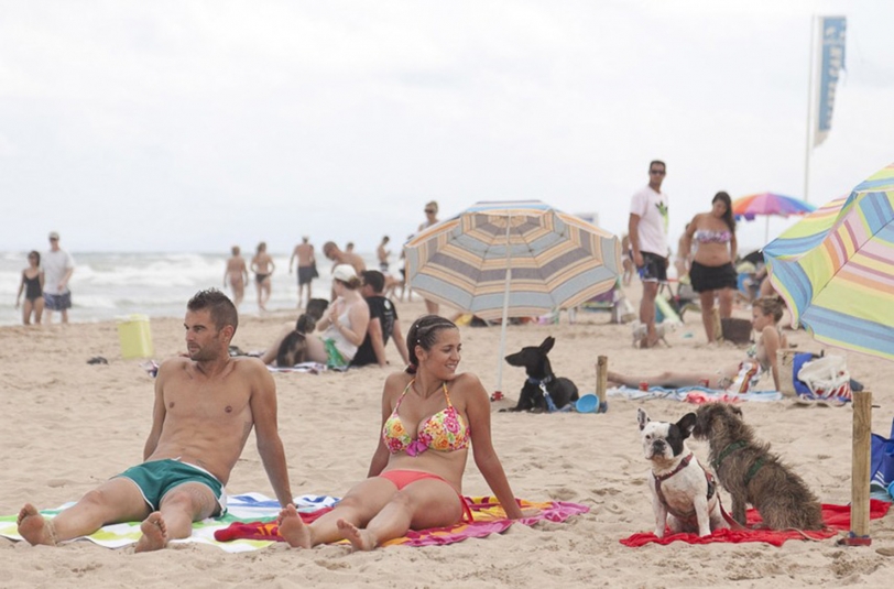 Ródenas: Es ilegal llevar perros a la playa sin que esté abierta Playa Can