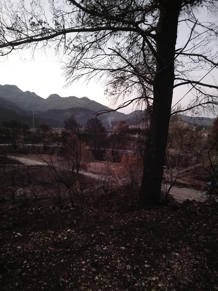 Arde basura y trastos ayer tarde en la zona de Montepino y APEIF lo detecta