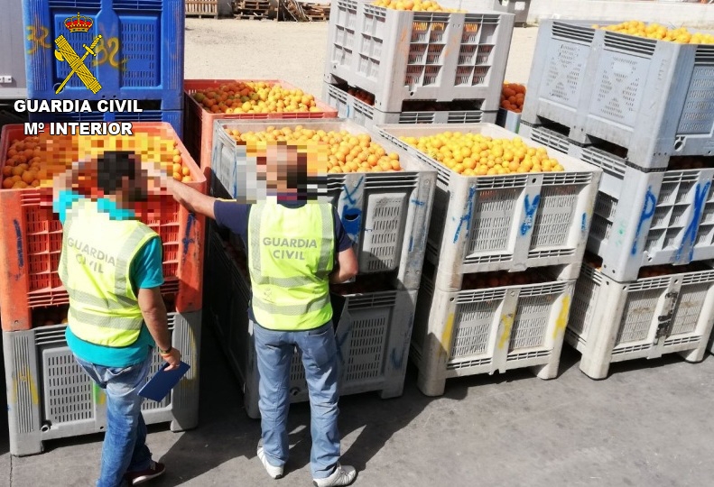 La Guardia Civil esclarece el robo de 115.000 kilos de naranjas en la Safor