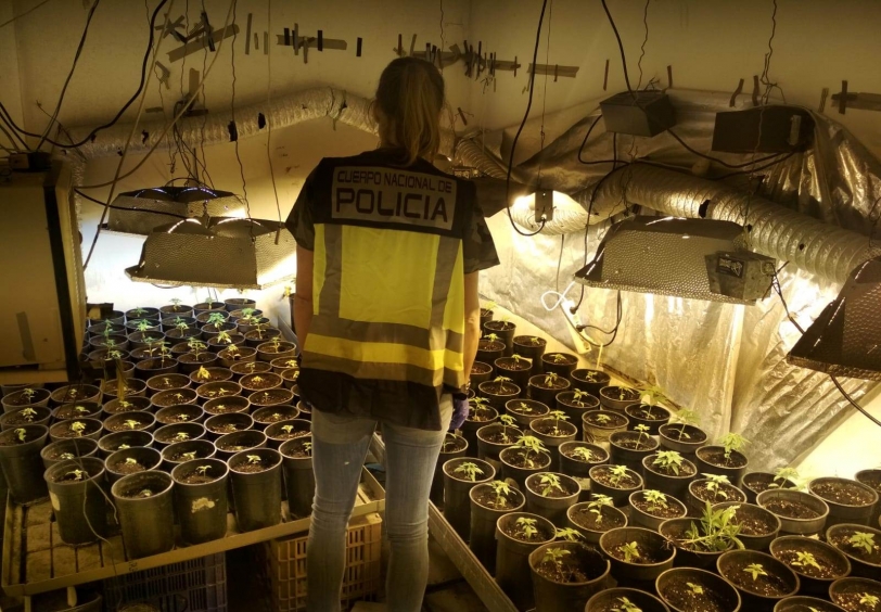 Dos detenidos en Xeresa y Gandia por cultivo acelerado de marihuana