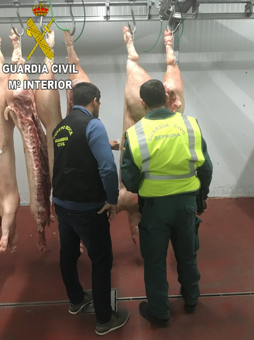 Cuatro registros en Oliva y un detenido en Ontinyent por distribuir carne