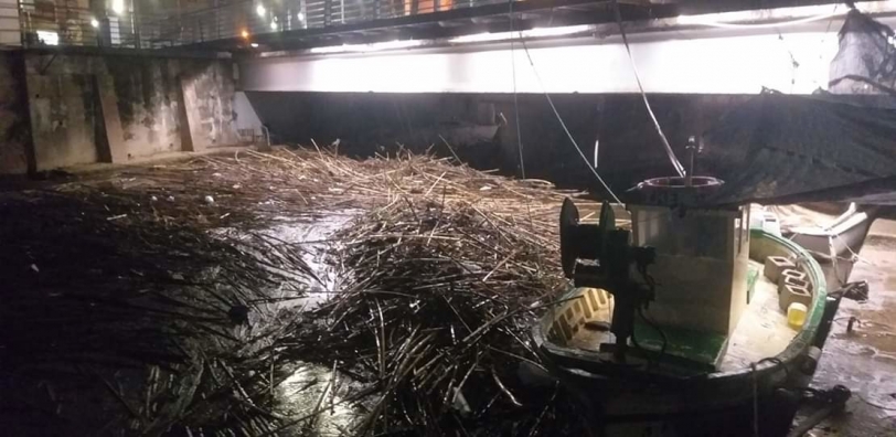 Vídeos: un rescate, lluvias de 300 litros y barrancos con cañas y caudal