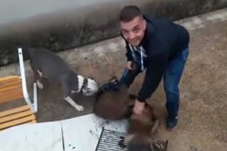 El Partido Animalista logra que la Fiscalía actúe en el caso de Simat