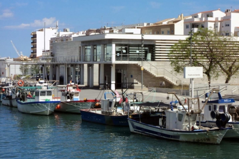 Seis menores agreden a un trabajador de la Lonja del Puerto de Gandia