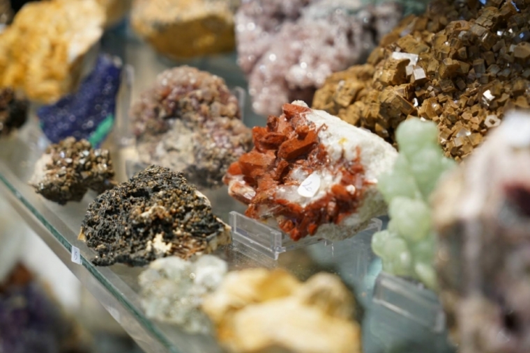 Los dinosaurios vuelven a Oliva con la VIl Feria de Minerales y Fósiles