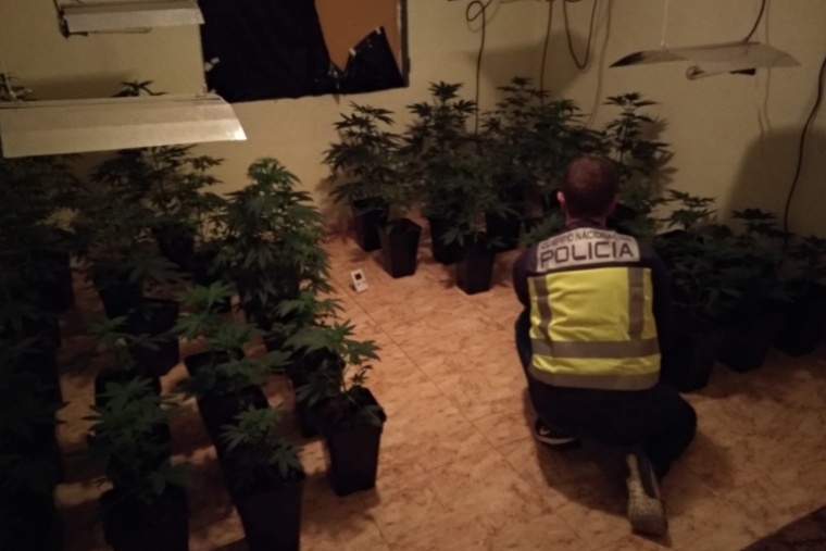 La Policía Nacional detiene en Gandia a tres jóvenes por tráfico de drogas