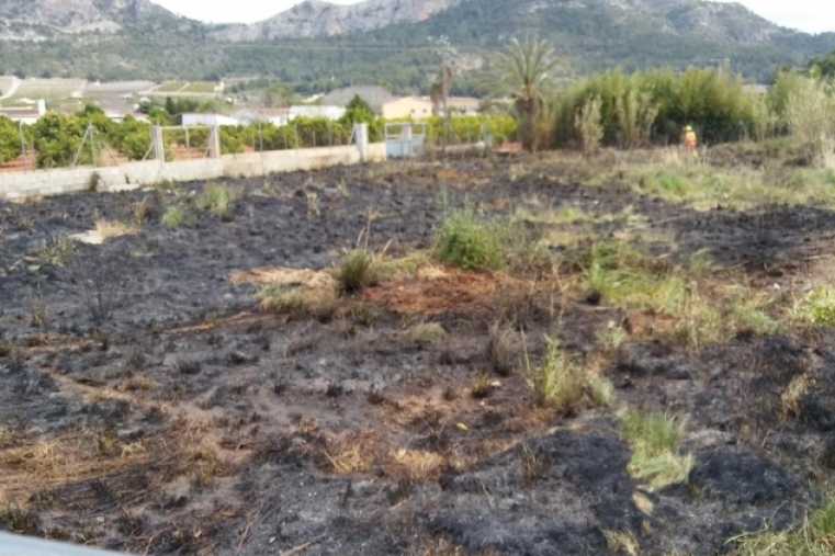 El viento aviva un incendio de un contenedor que se propaga a campos
