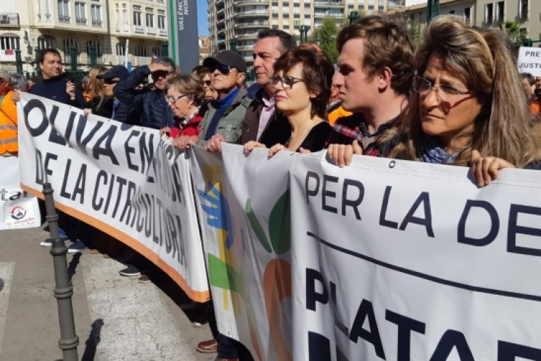 Agricultores y vecinos de Oliva en la manifestación en defensa del labrador