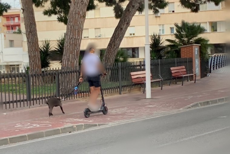 El conductor de un patinete eléctrico atropella a un perro en Gandia
