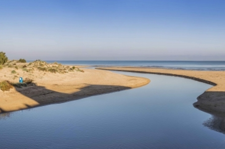 La calidad del agua en la playa de Les Deveses de Oliva es ''excelente''