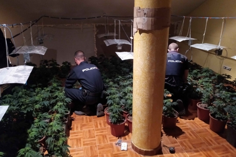 Tres vecinos de Gandia detenidos por cultivar marihuana en un chalé