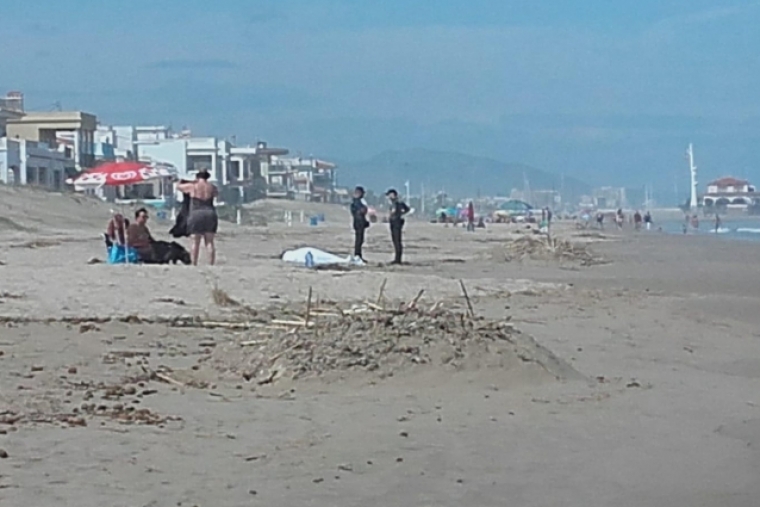 Los dos fallecidos ayer en Oliva no vieron las vaguadas tras el temporal