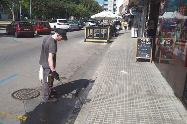 Oliva pide ayuda a la Generalitat ante la plaga de mosquito tigre