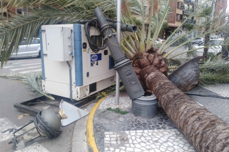 El viento derriba una palmera en el paseo de Gandia y un techo en Villalonga