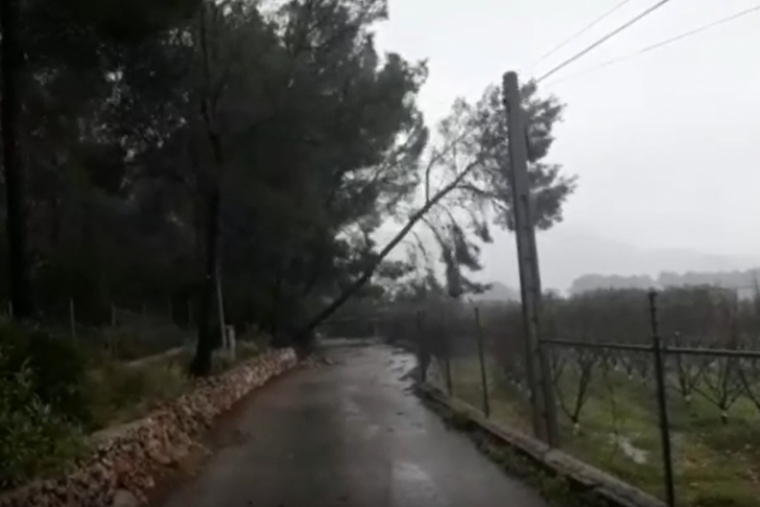 Bomberos de Gandia rescatan a una familia en Marxuquera