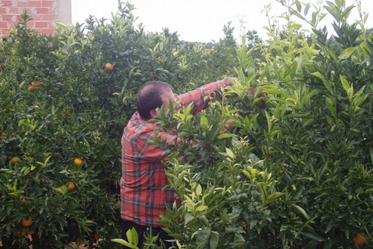 UGT: Las campañas agroalimentarias y comerciales cada vez son más cortas