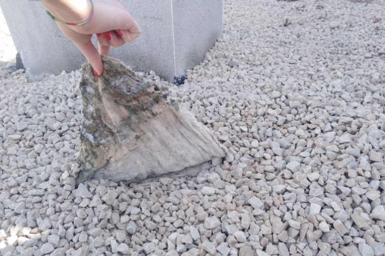 Generalitat pide disculpas a los vecinos del Edificio Benicanena en Gandia