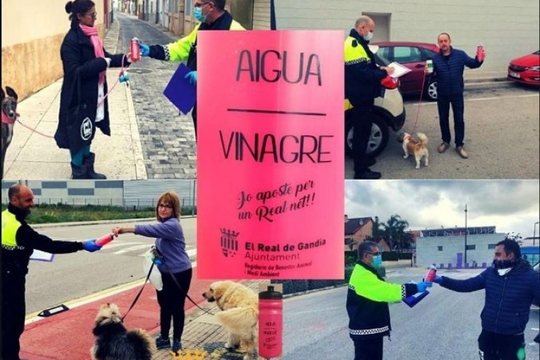 El Real de Gandia combate la orina de mascotas en la calle