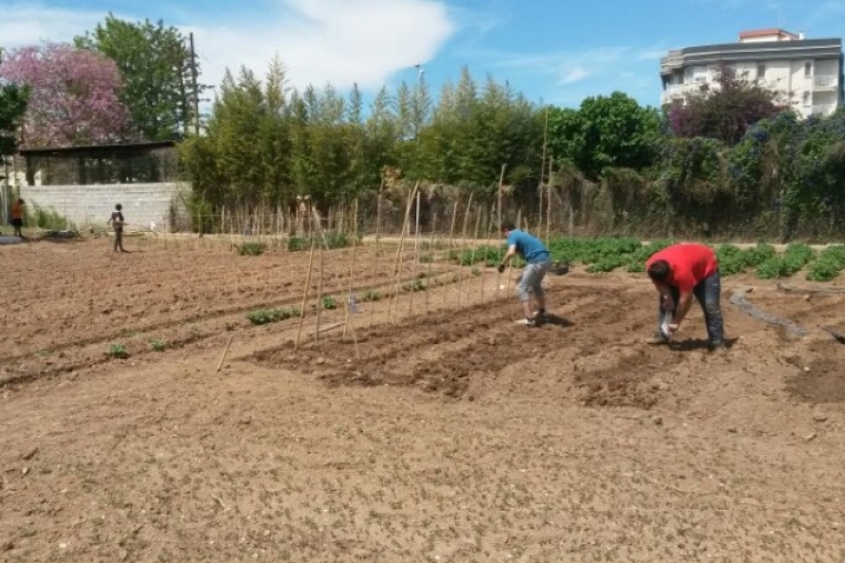 Gandia reabre los Huertos Urbanos para que no se pierda la cosecha