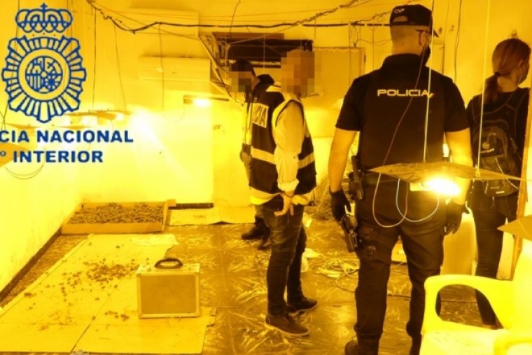 La Policía Nacional desmantela en Gandia un laboratorio-cultivo de droga