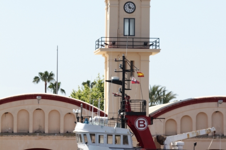 Los tinglaos del puerto de Gandia albergarán los monumentos falleros de 2020