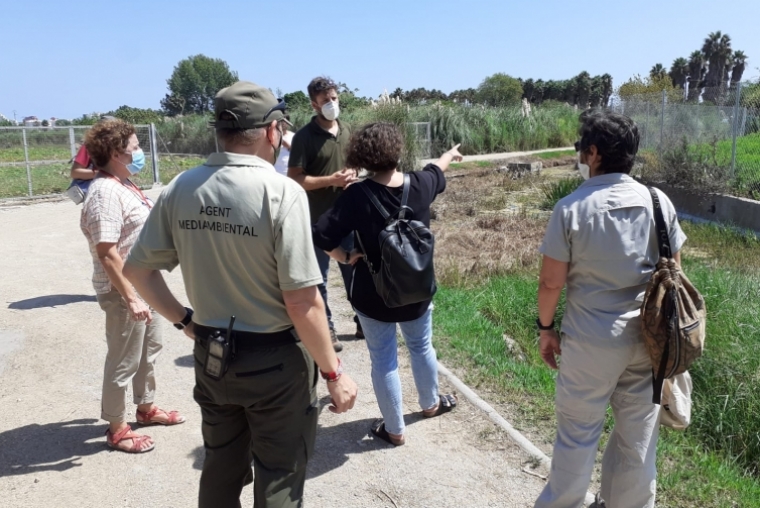 Visita técnica a los ullals de Gandia como paso previo a obras de mejora