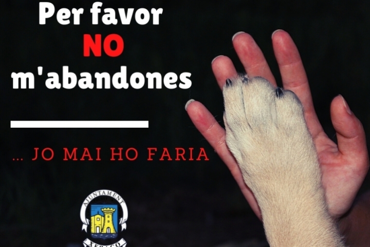 Xeraco pone en marcha una campaña contra el abandono animal