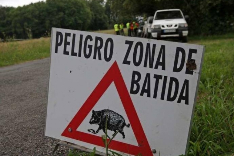 Batida de jabalíes en la zona de la Fàbrica de la Llum-Via Verda del Serpis