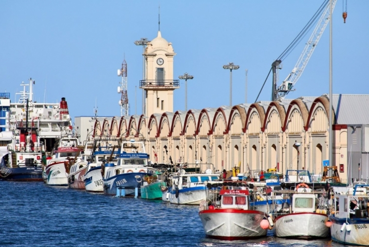 El PSOE impulsa en Gandia el apoyo institucional a la pesca de trasmallo