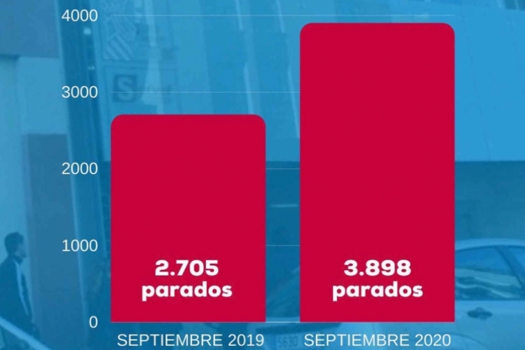 El PP pide políticas de empleo ante los 3.898 jóvenes cin empleo en Gandia