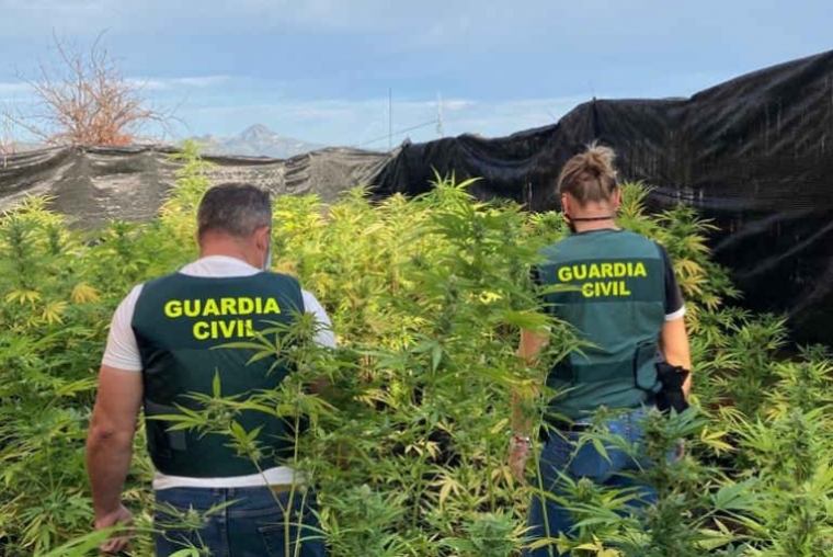 Sorprendido un vecino de Oliva por el helicóptero de la Guardia Civil