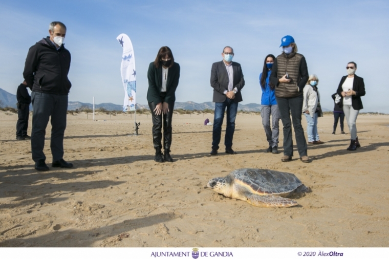El Oceanogràfic suelta una tortuga en Gandia con la campaña La Mar de Tots
