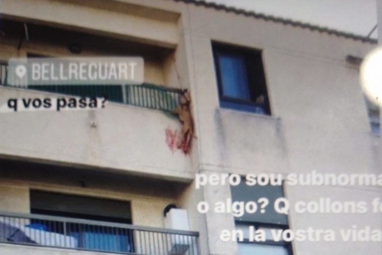 La Policía Local de Bellreguard logra salvar a una perra de su maltratador