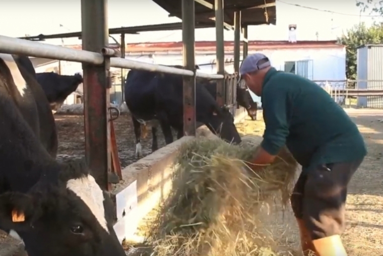 Gandia promueve, con este vídeo, el consumo de productos locales en Navidad 