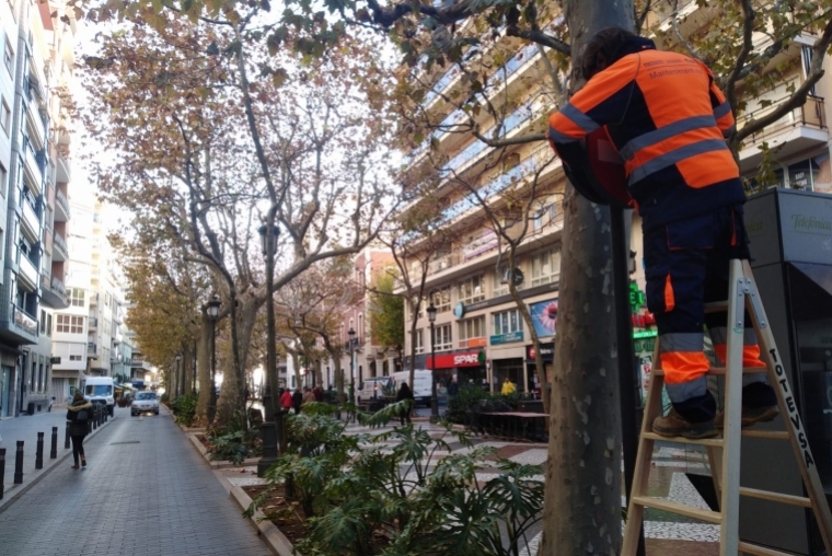 Comercios y Hosteleros de Gandia apoyan el cierre del centro al tráfico
