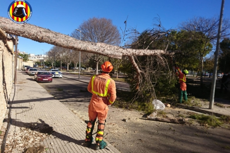 Actuaciones de Bomberos en varias emergencias por viento en Gandia