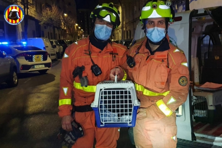 Los Bomberos de Gandia rescatarn un gato que llevaba días maullando